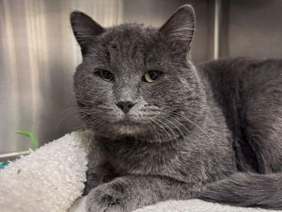 Hello my name is Roman