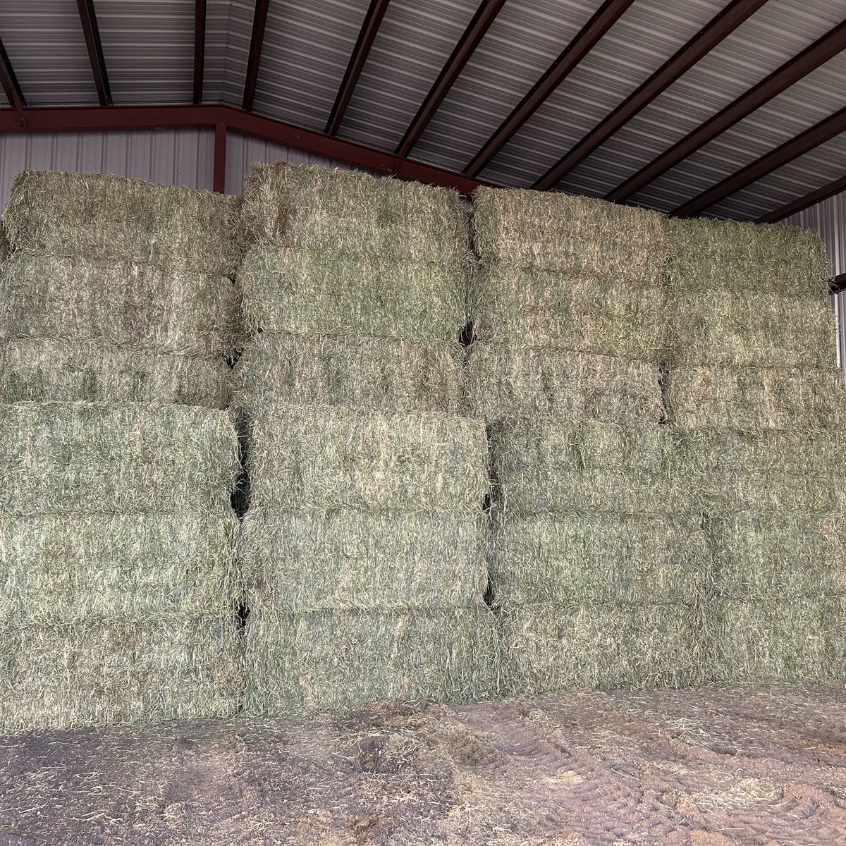 3x3 Alfalfa Horse Hay
