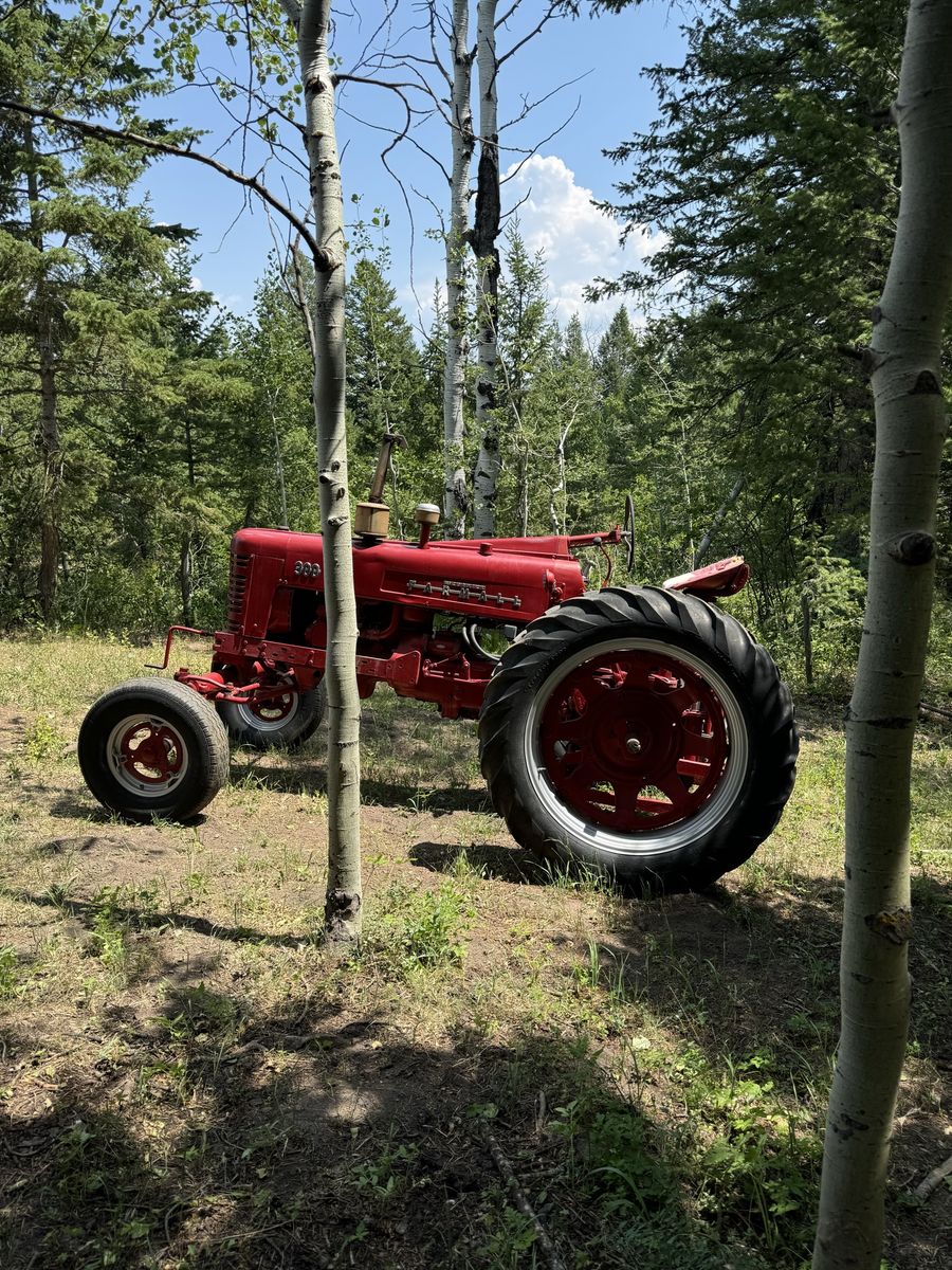 1955 international Farmall 300