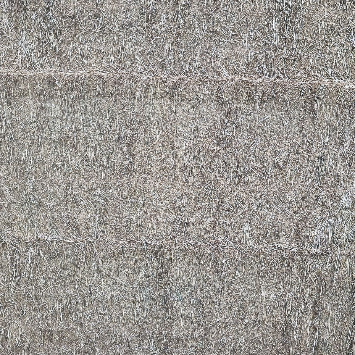Clean Alfalfa Hay