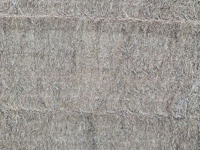 Clean Alfalfa Hay