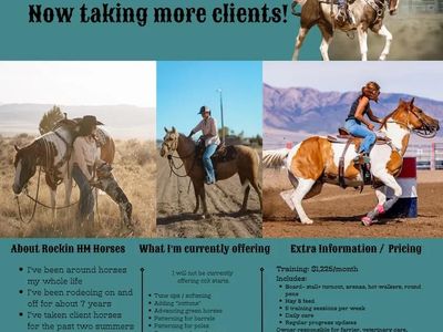 Limited horse training spots, first 2 to book for August get a deal on pricing