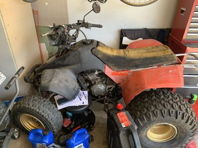 1986 Suzuki lt230s quad sport