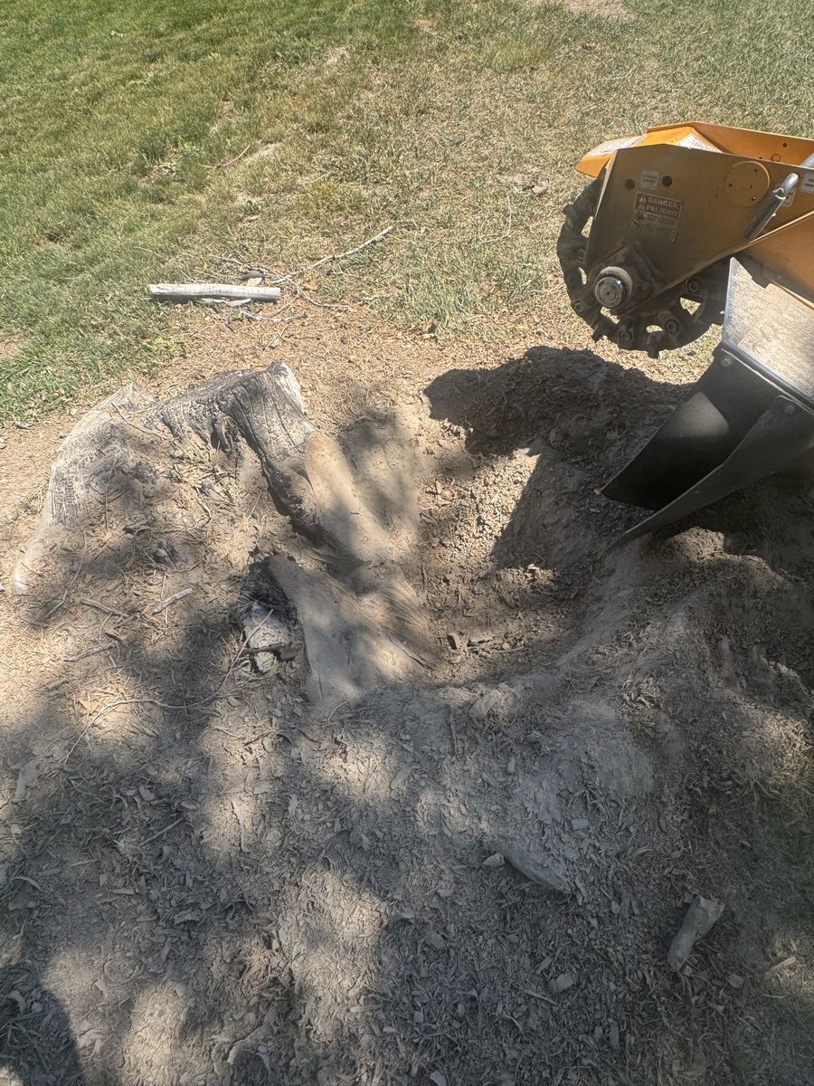Main image 3
