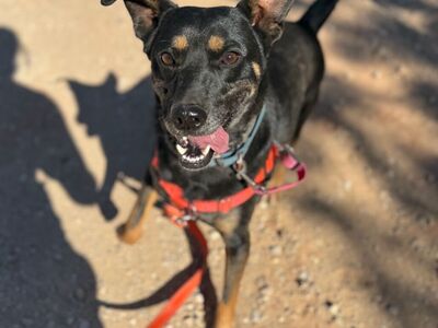 Hello my name is Clyde