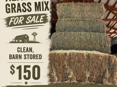3x3 Alfalfa/Grass mix Bales