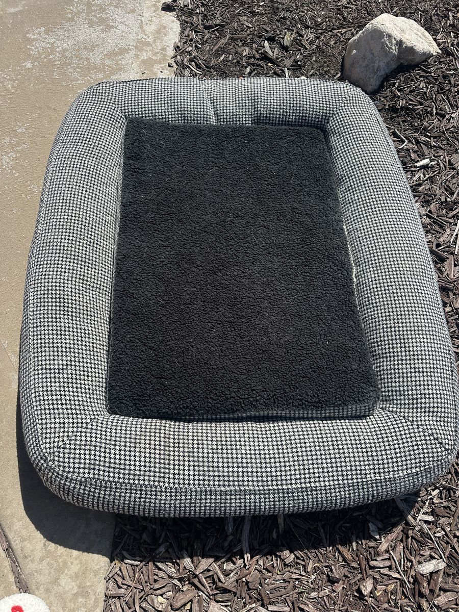 FREE DOG BED
