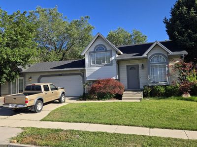roommates needed