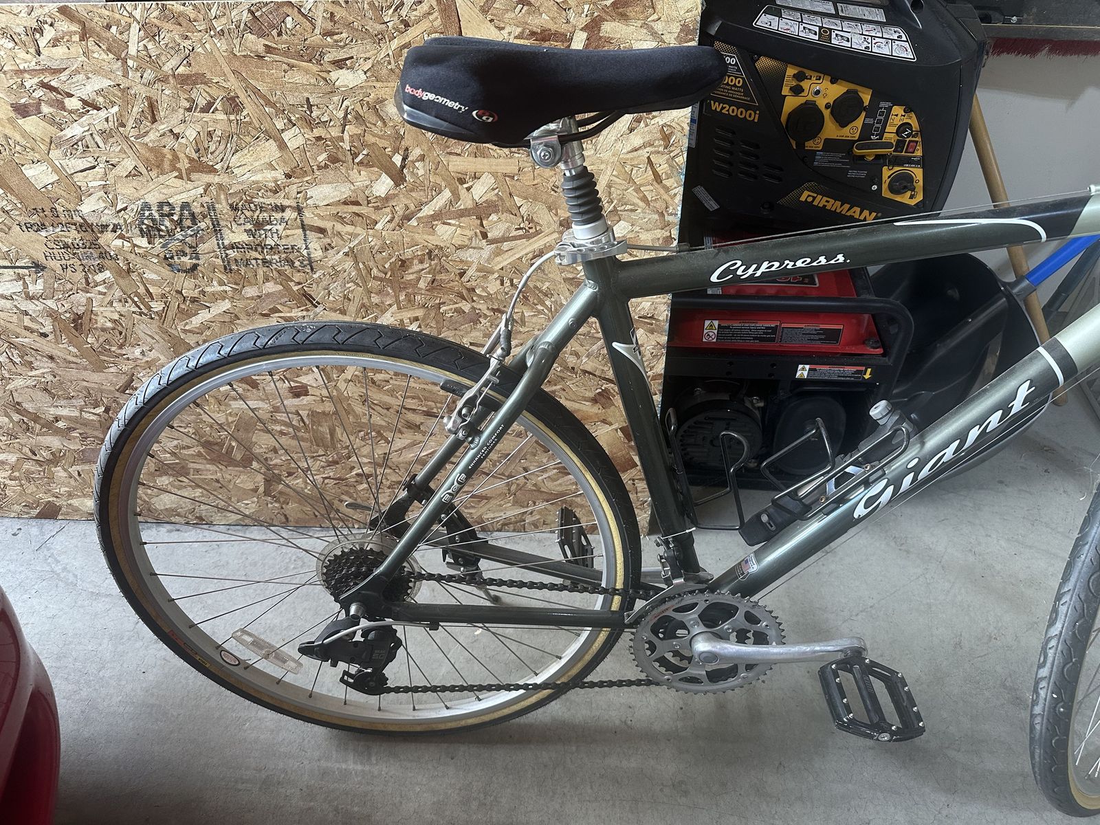 Giant Bike