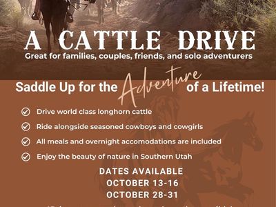 Cattle Drive Adventure in Southern Utah