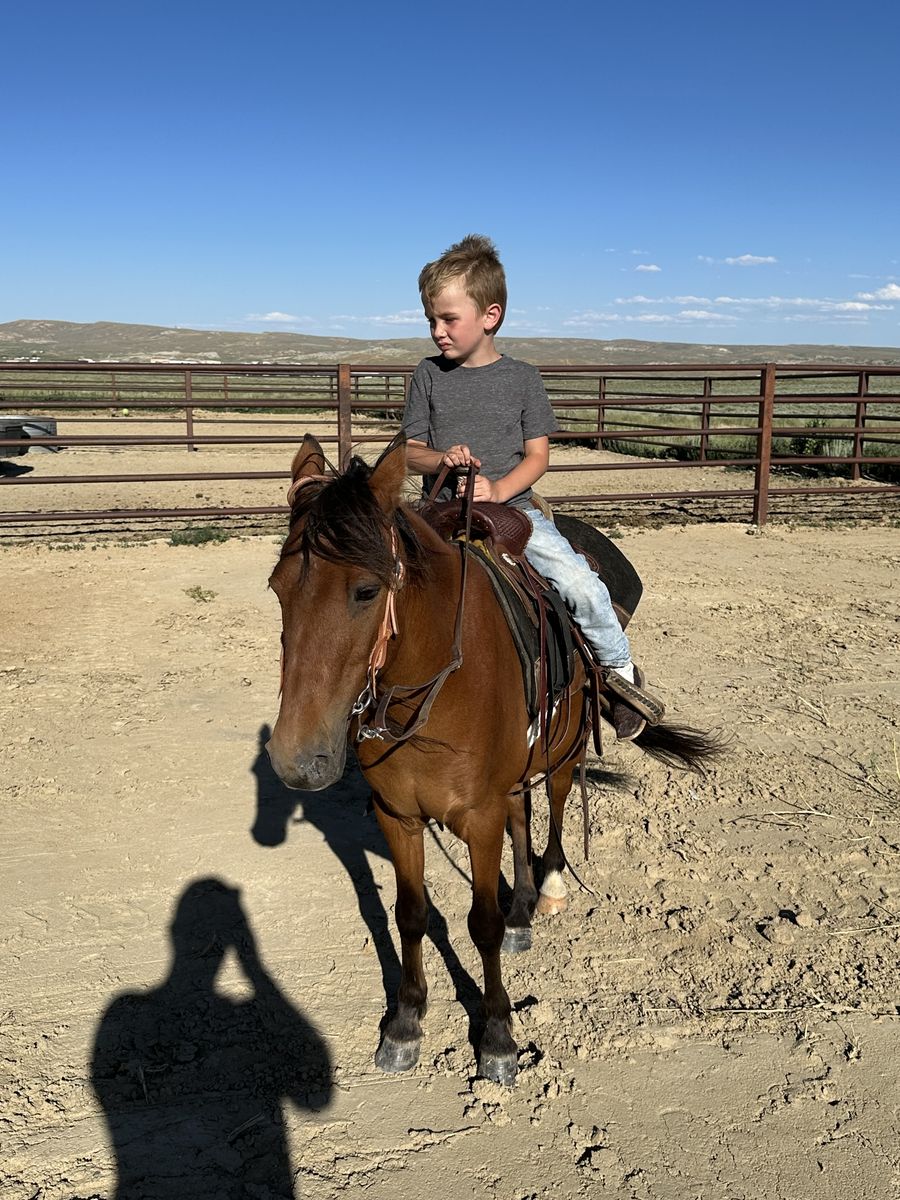 Kids pony