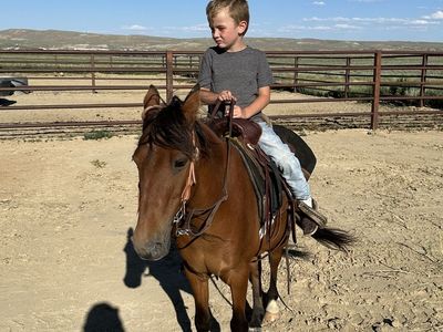 Kids pony