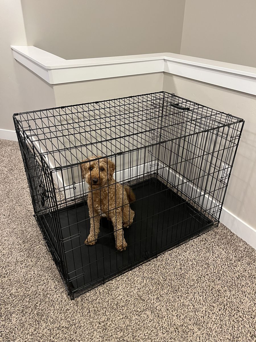 Dog Crate 42" x 28" x 30" (adjustable and collapsible)