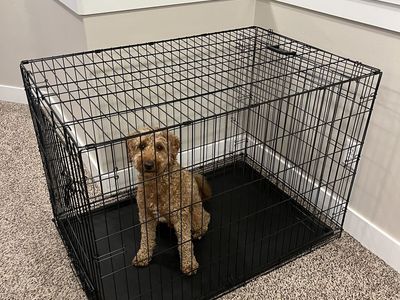Dog Crate 42" x 28" x 30" (adjustable and collapsible)