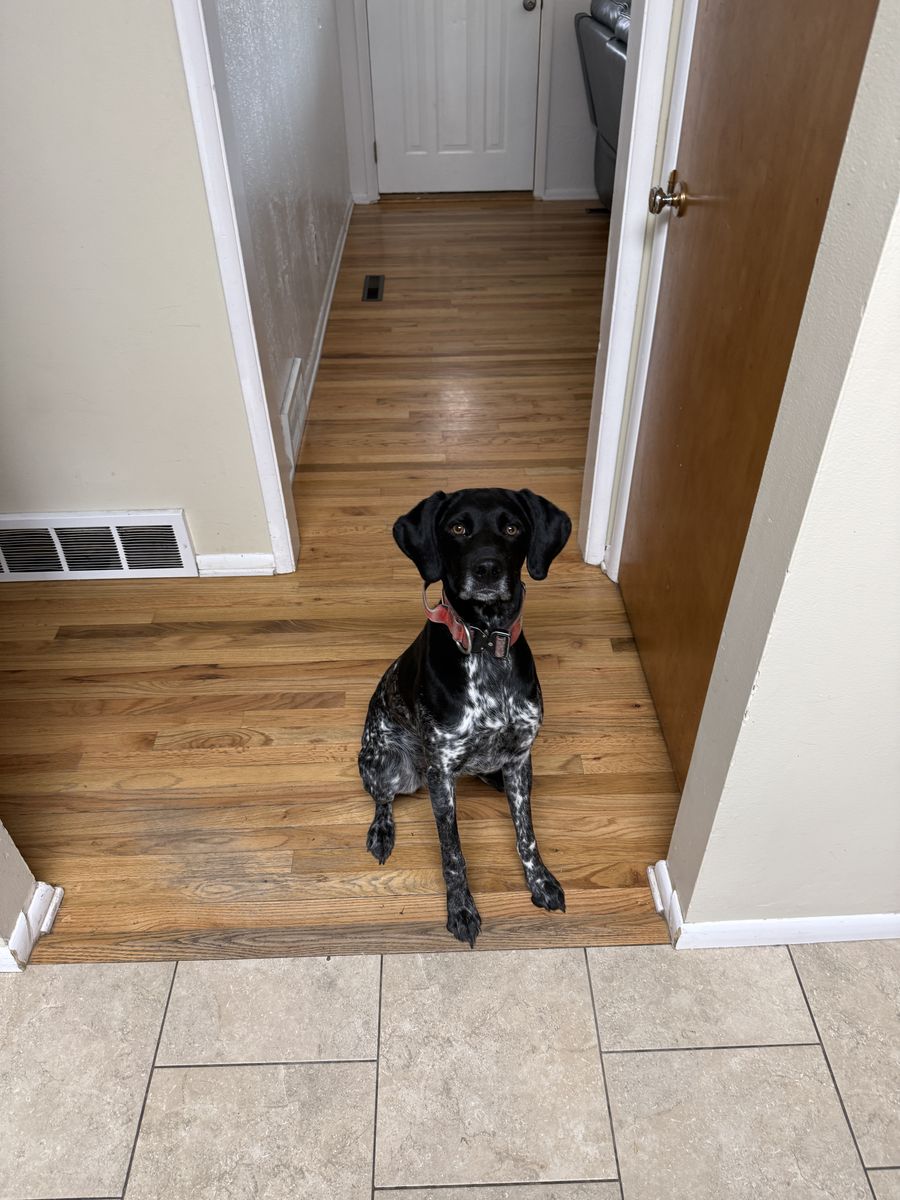 Looking for a new home.