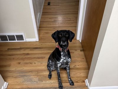 Looking for a new home.