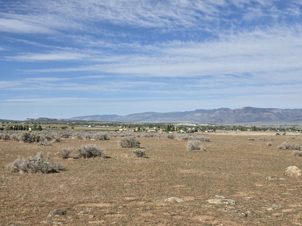 Main image 7