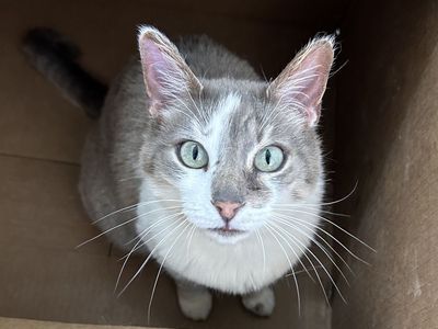 Hello my name is Rosie