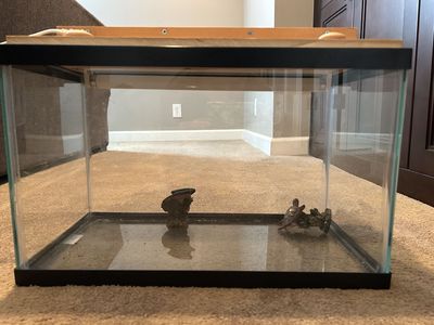 20 gallon aquarium with light