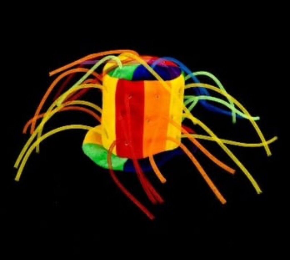 Jester rainbow hat silly Halloween, Costume, Crazy