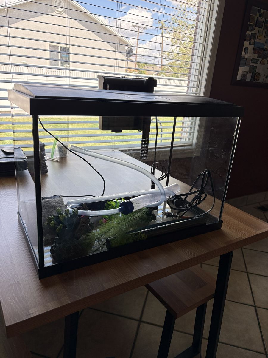 20 Gallon Aquarium