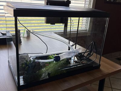 20 Gallon Aquarium