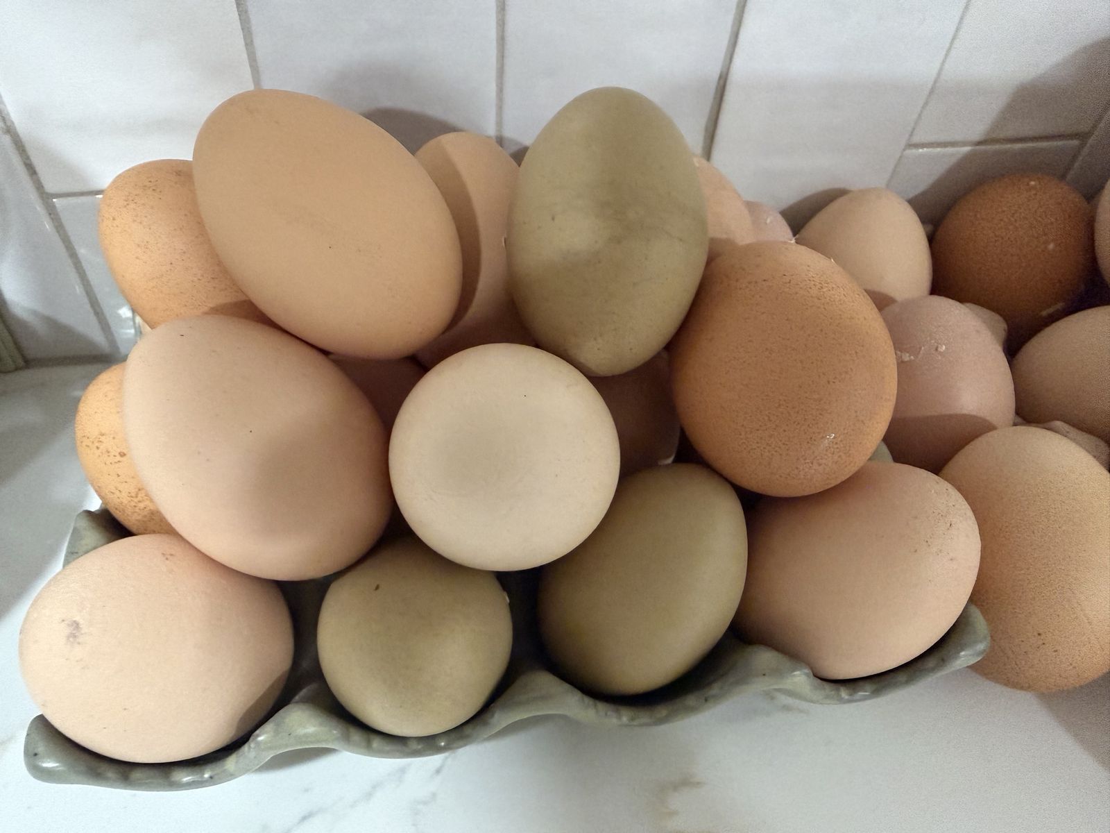Chicken Eggs - Free Roam*