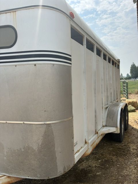 Horse Trailer C&B Bumper Pull