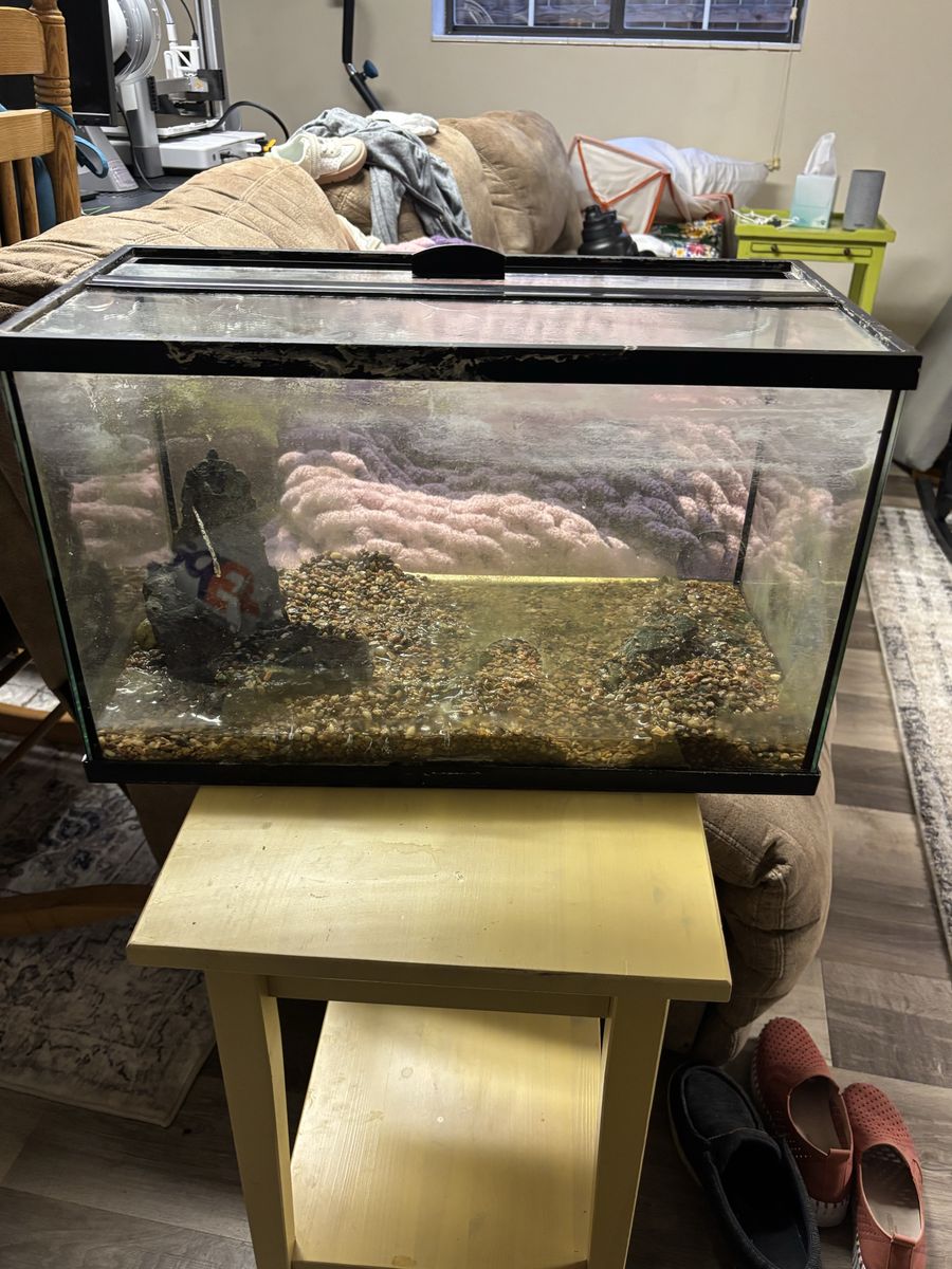 10 Gallon fish tank with lid Free