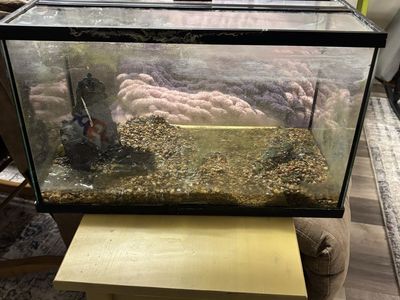 10 Gallon fish tank with lid Free