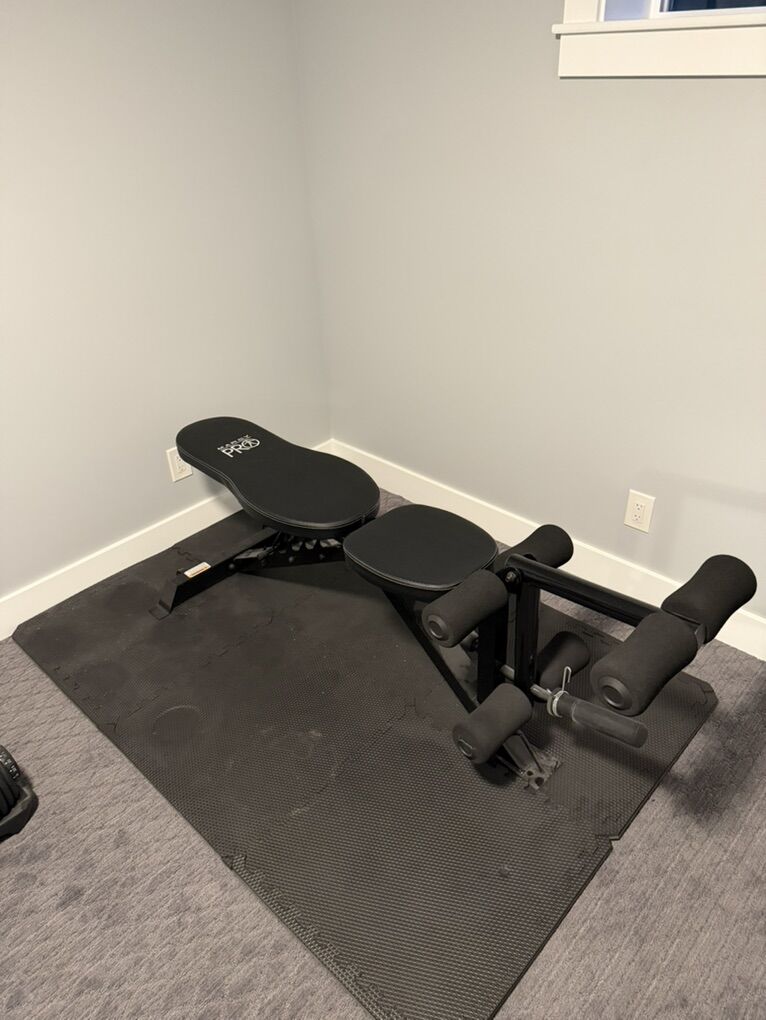 Work Out Bench Press Bench