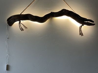 Driftwood light fixture
