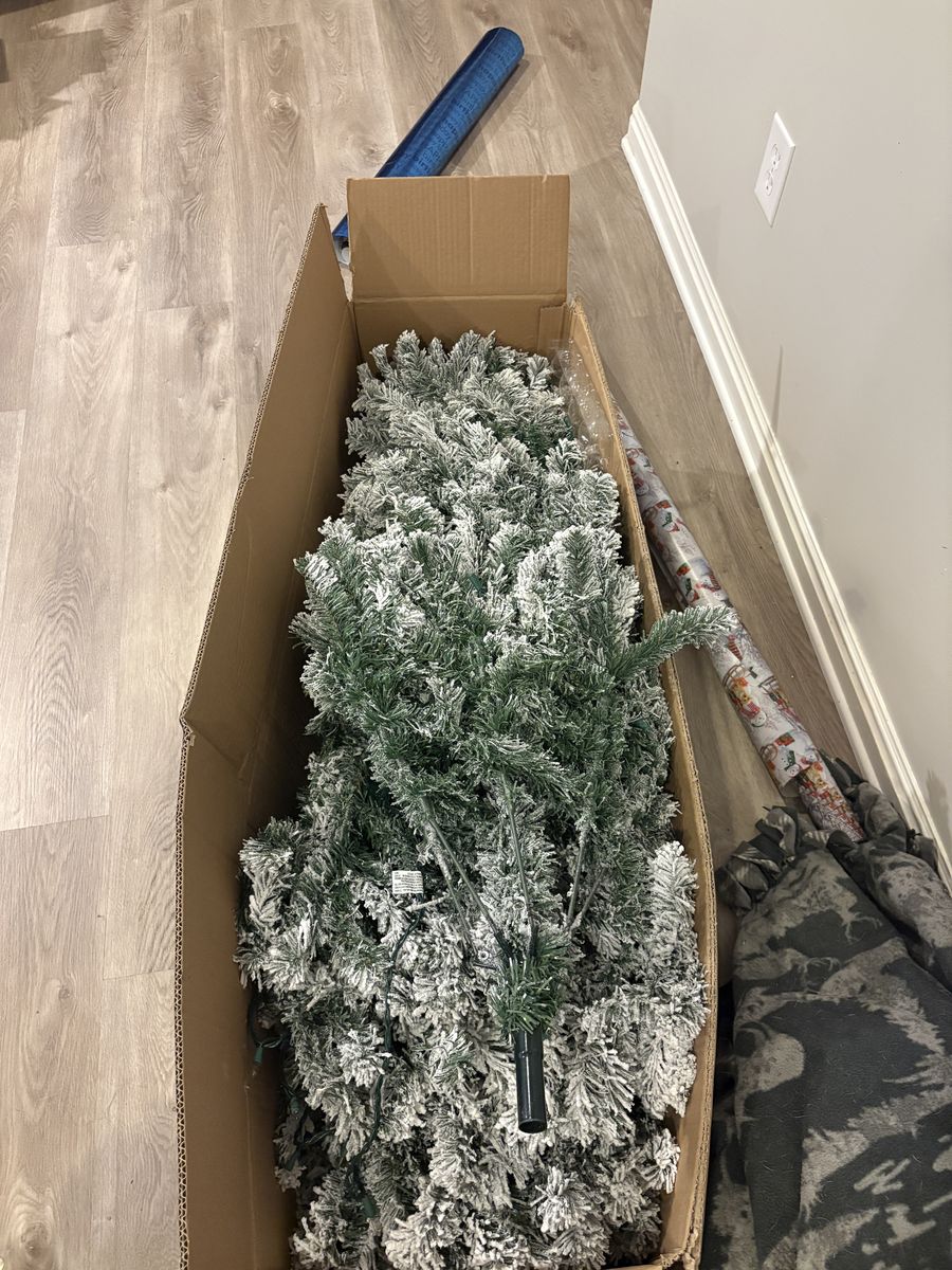 Christmas tree for sale