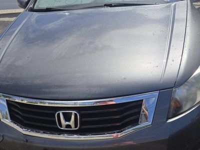 2010 Honda Accord EX