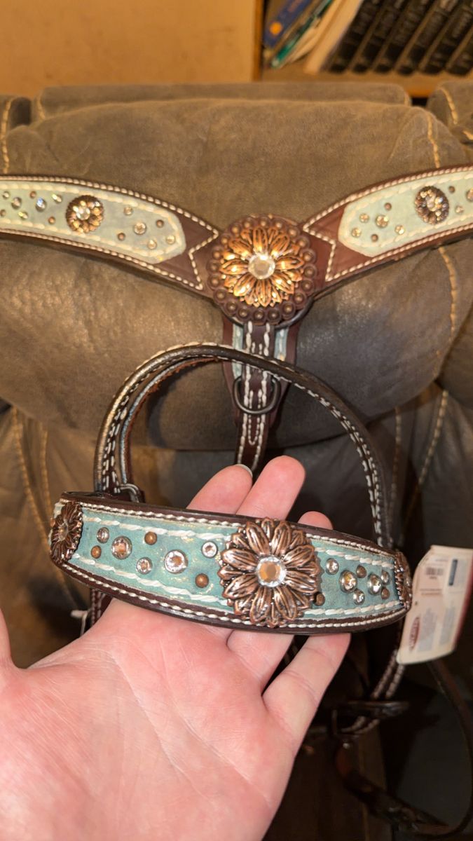New tack set!