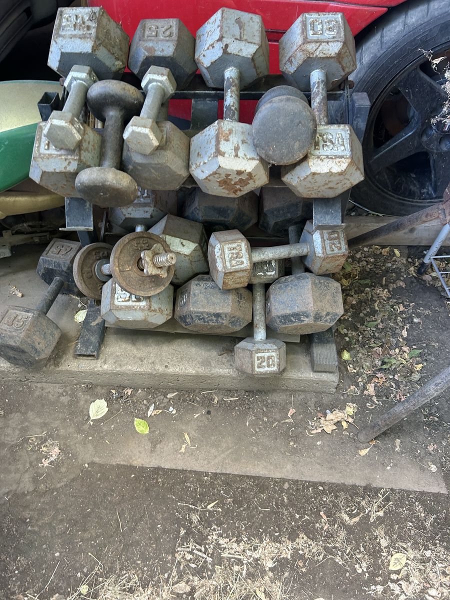 Dumbbells and bench seat