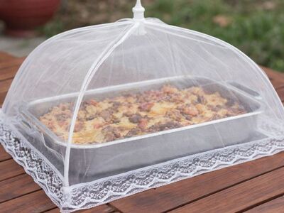 Food Mesh Tent Covers (2-Pack) – Keep Bugs Off Food – NEW