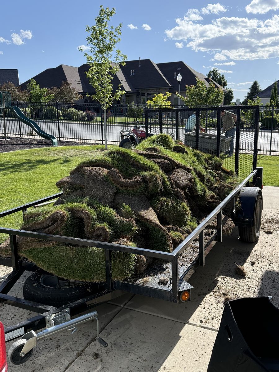 Free Sod: Removed from a yard, ready for pickup. Perfect for small landscaping projects or filling in patches.