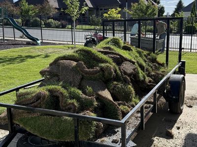 Free Sod: Removed from a yard, ready for pickup. Perfect for small landscaping projects or filling in patches.