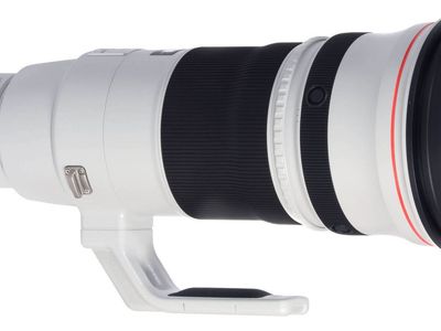 Canon EF 500mm f/4 L IS II USM