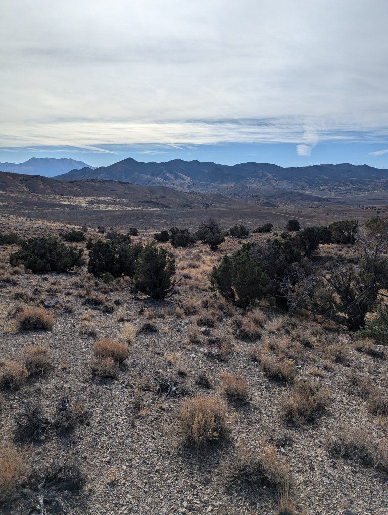 Main image 17
