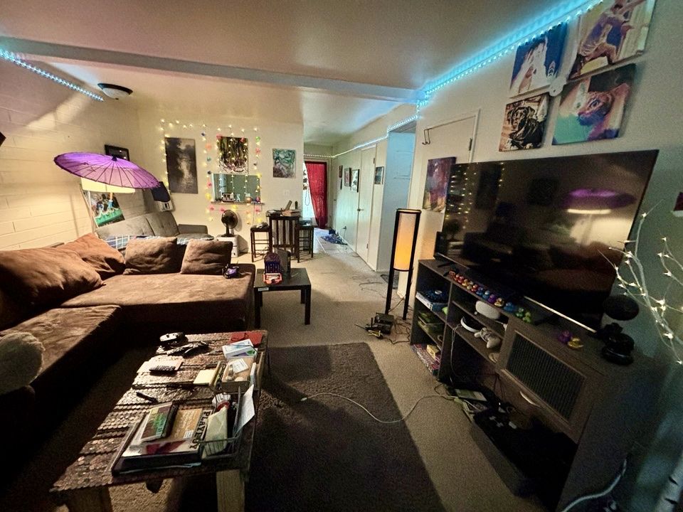Main image 7