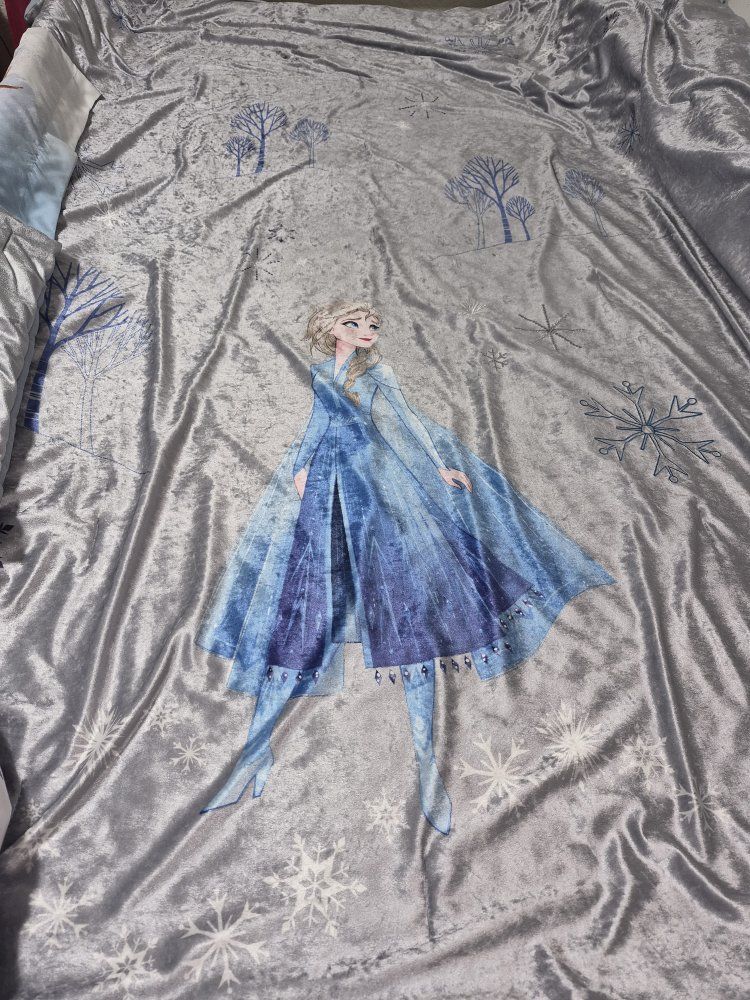 Disney Frozen 2 Reversible Plush Comforter & Sham Set - Anna & Elsa Twin/Full Size