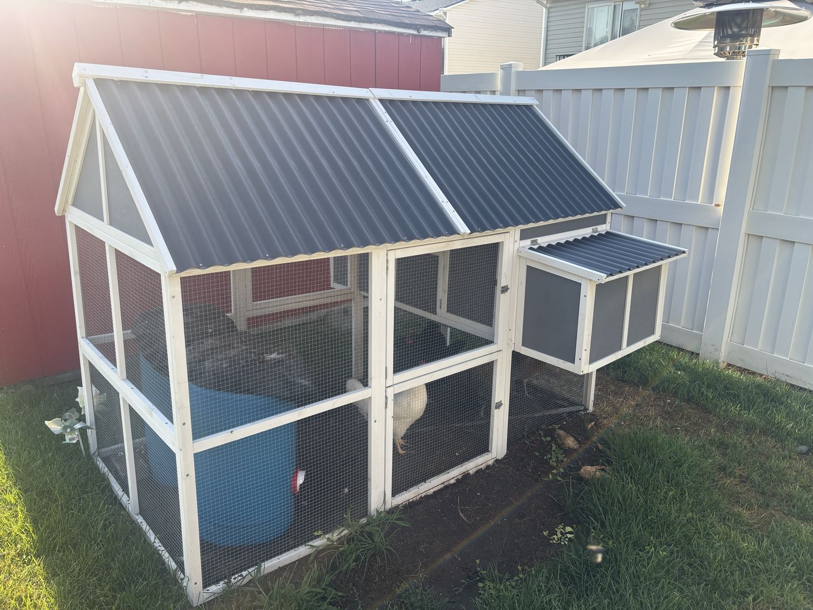 Wooden Backyard Chicken Coop with Nesting Box and Corrugated Roof