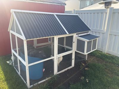 Wooden Backyard Chicken Coop with Nesting Box and Corrugated Roof