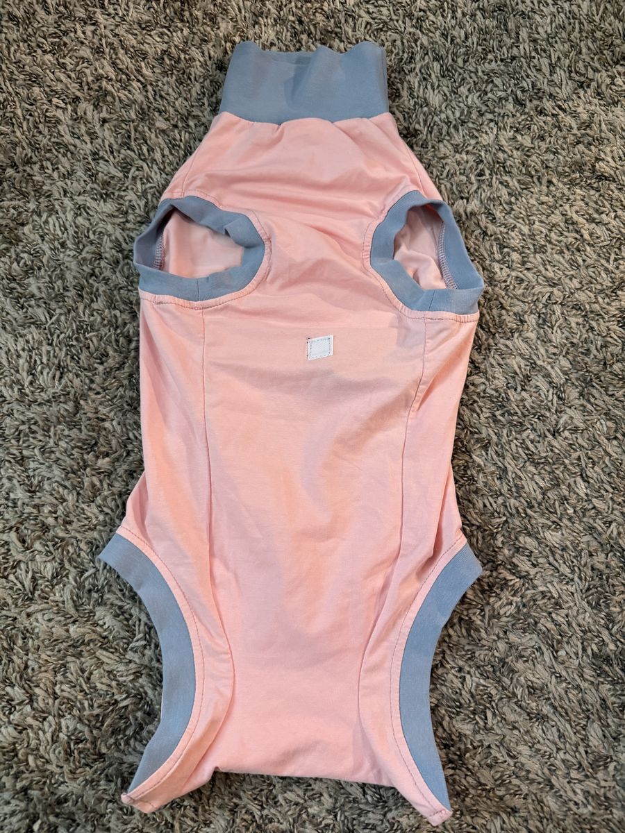 Size medium dog after surgery bodysuit or onesie