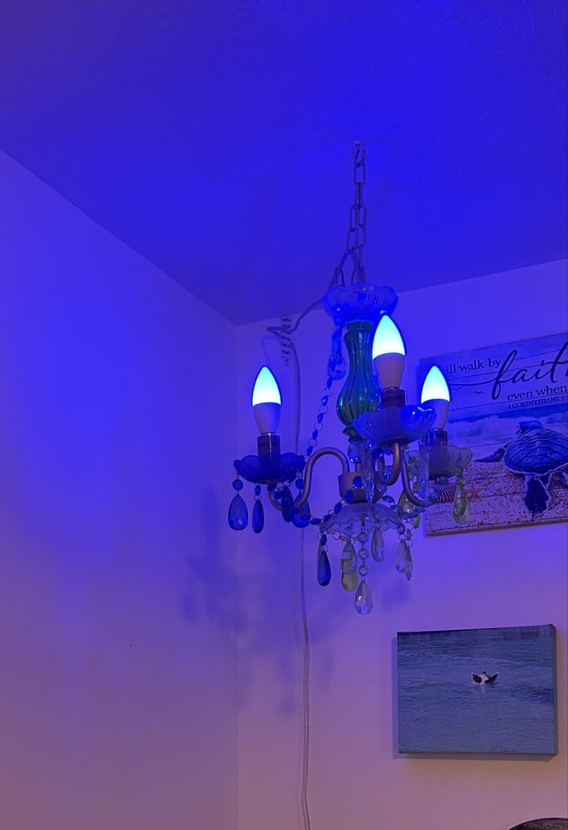 Main image 4