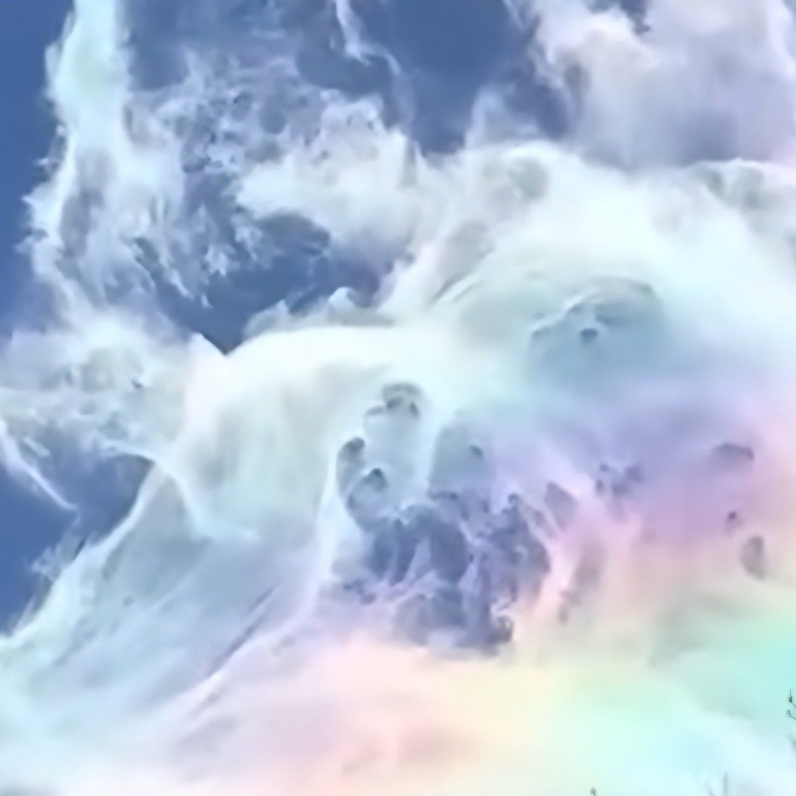 Sudden Move/Downsizing Sale