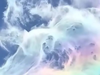 Sudden Move/Downsizing Sale