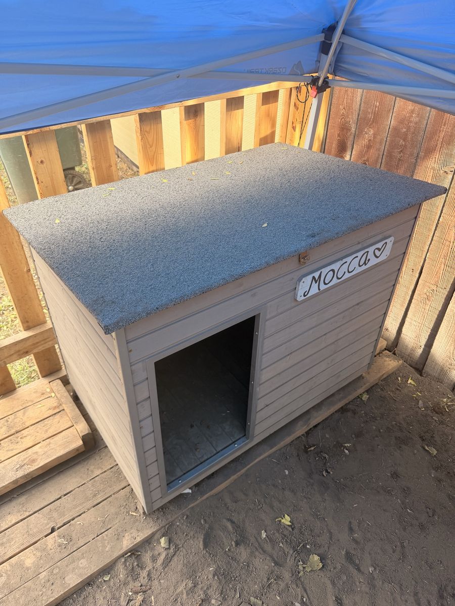 Dog house